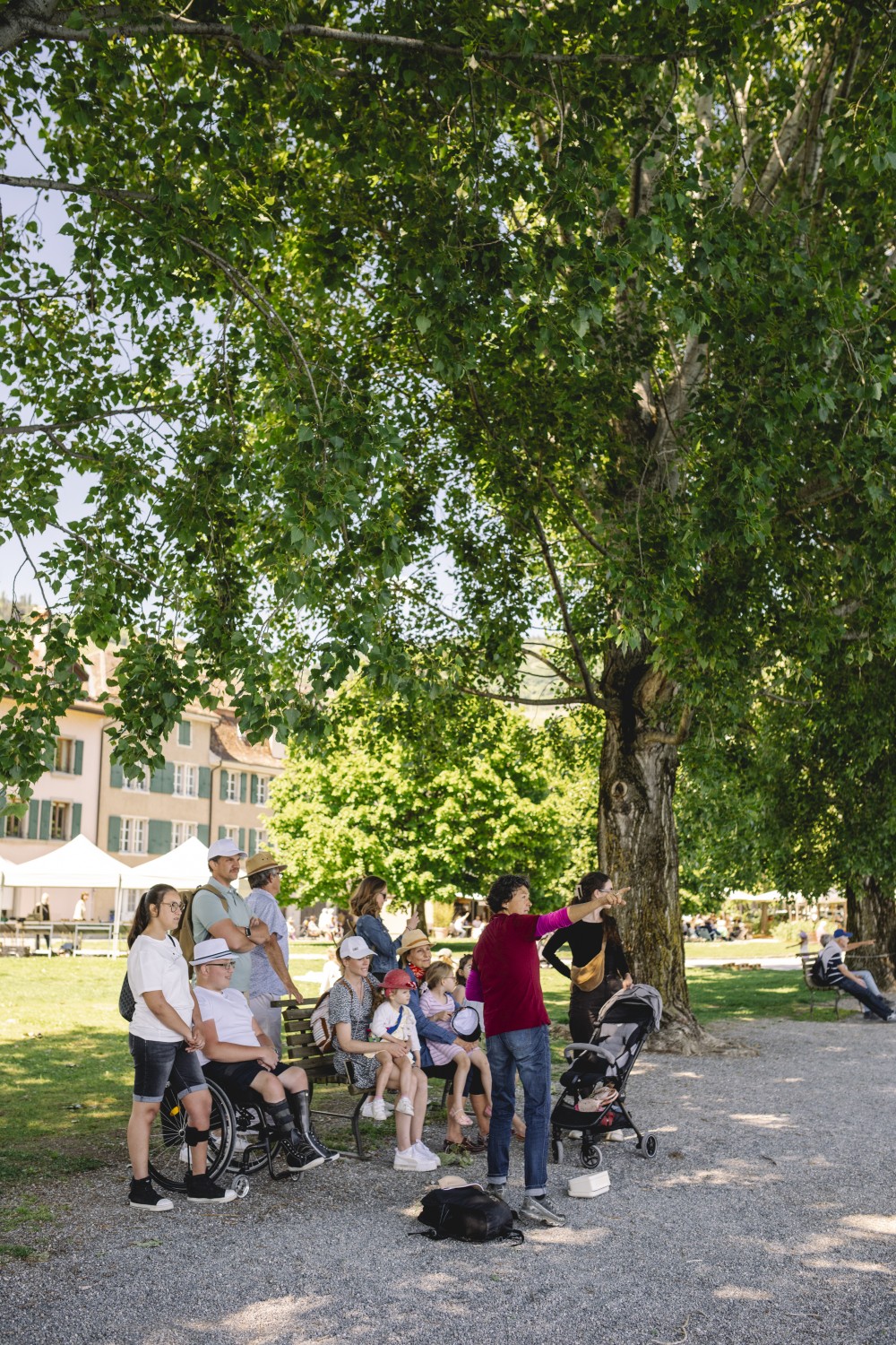 img 00fd12db73a0abdb6f43b