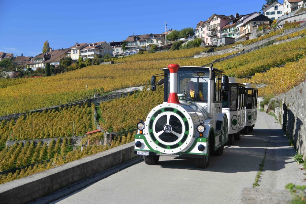 img ff70b5a6b3bce85f43cc1066