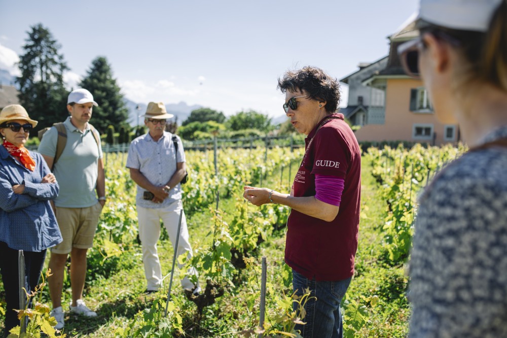 img b1de9116def7f043cf