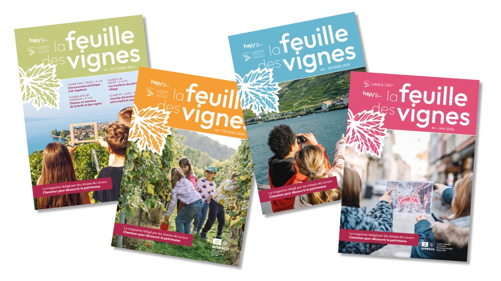 Feuille des vignes 1 2 3 4
