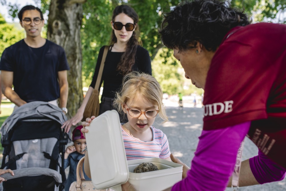 img 8dbddfd78783b1c10b6f4571e6b39ce2