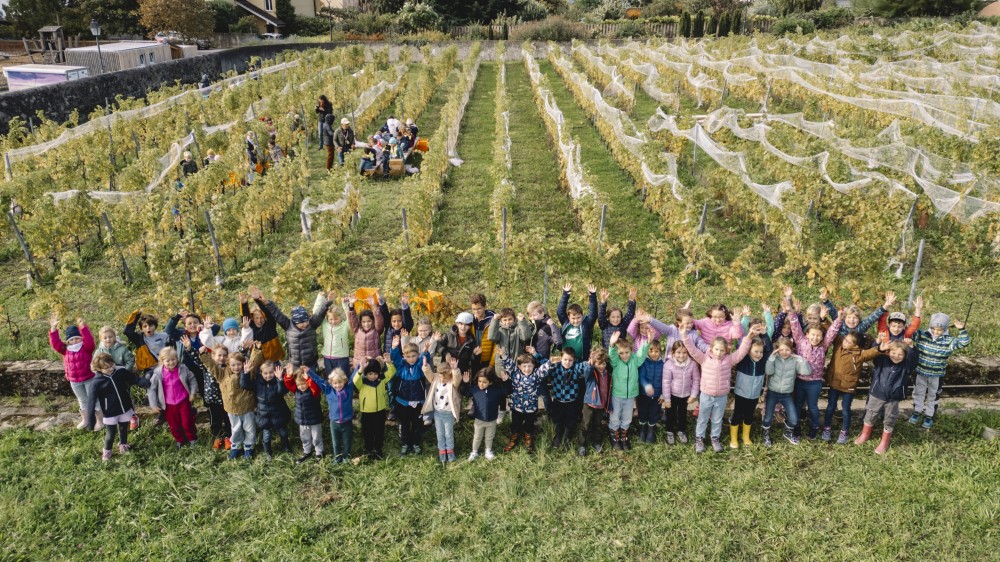 lpm parc vign nature vendanges celsa mesot octobre2024 ld s3