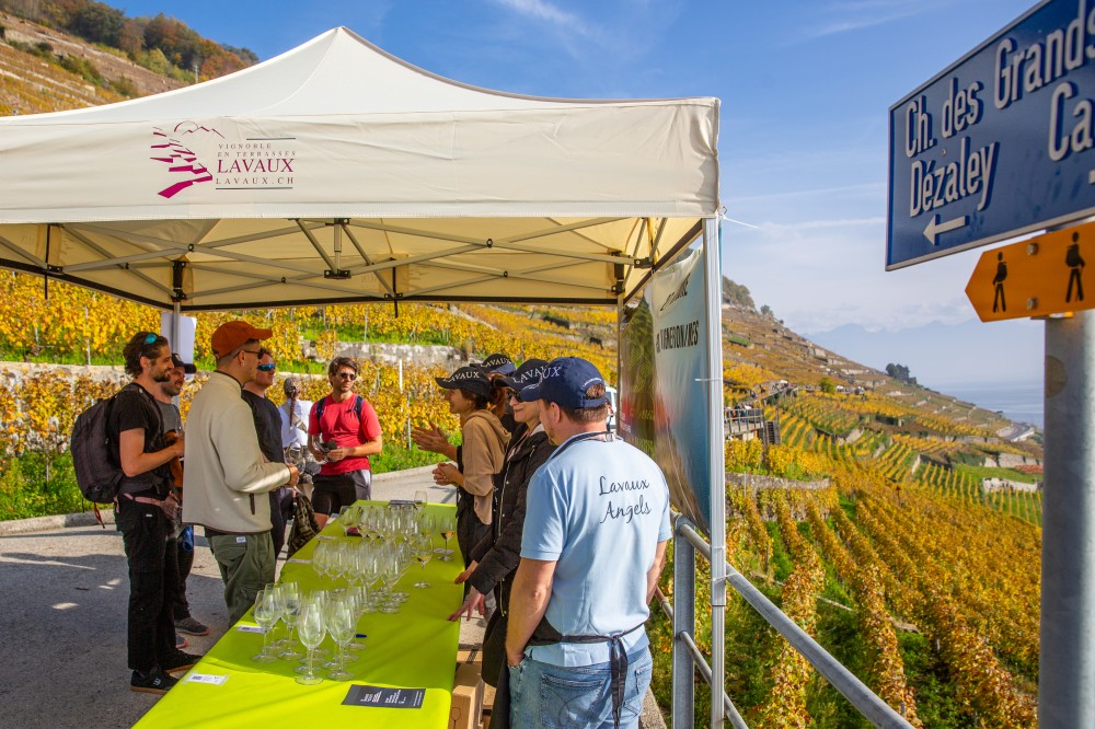 img d492f714c8aea246