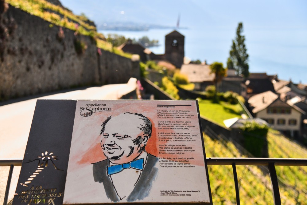 img f51cffdbb0fbdc89eb