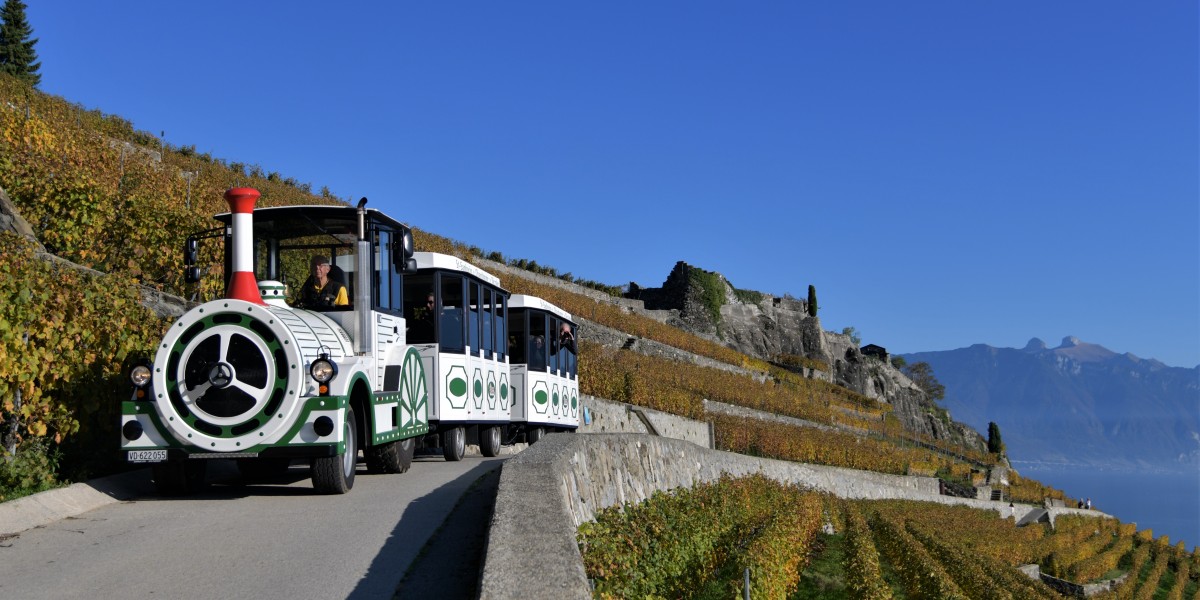 le-train-du-patrimoine-lavaux-unesco