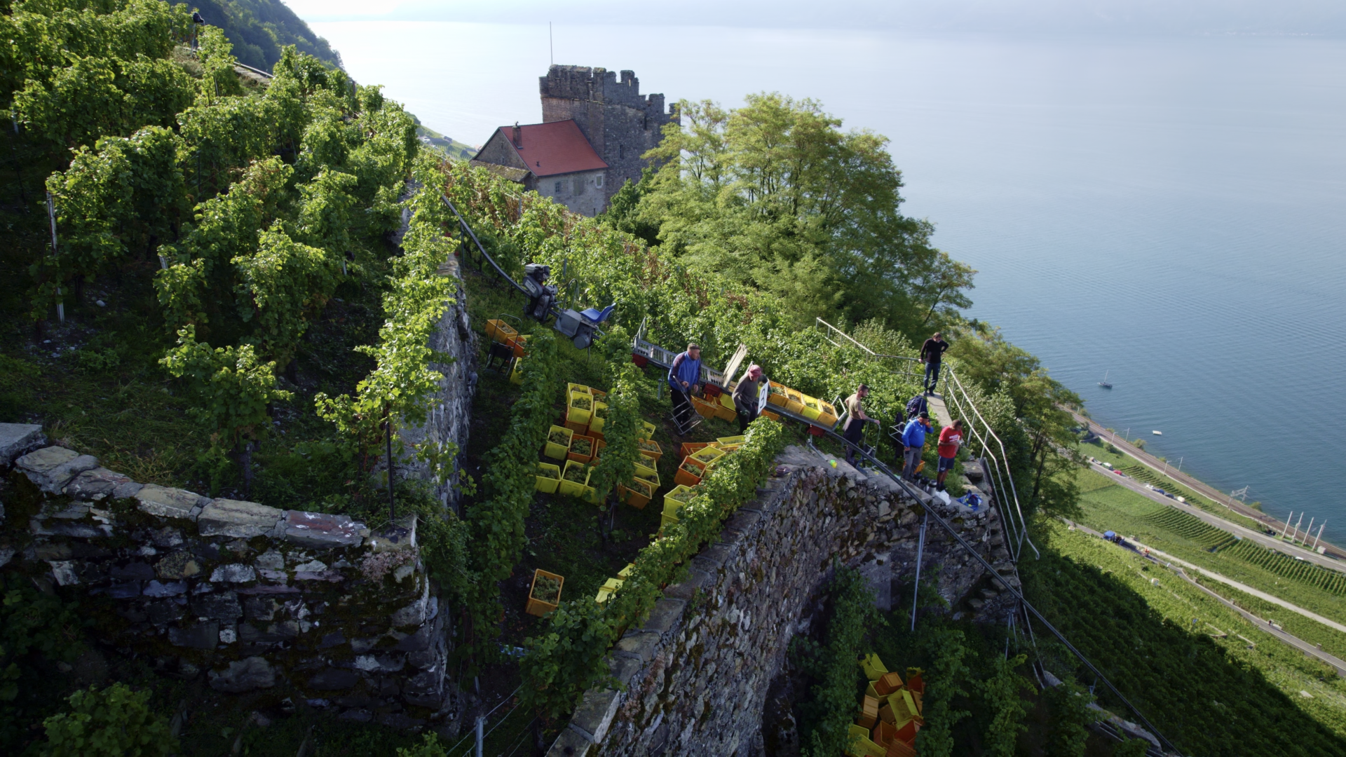 lpm vendanges ckiener