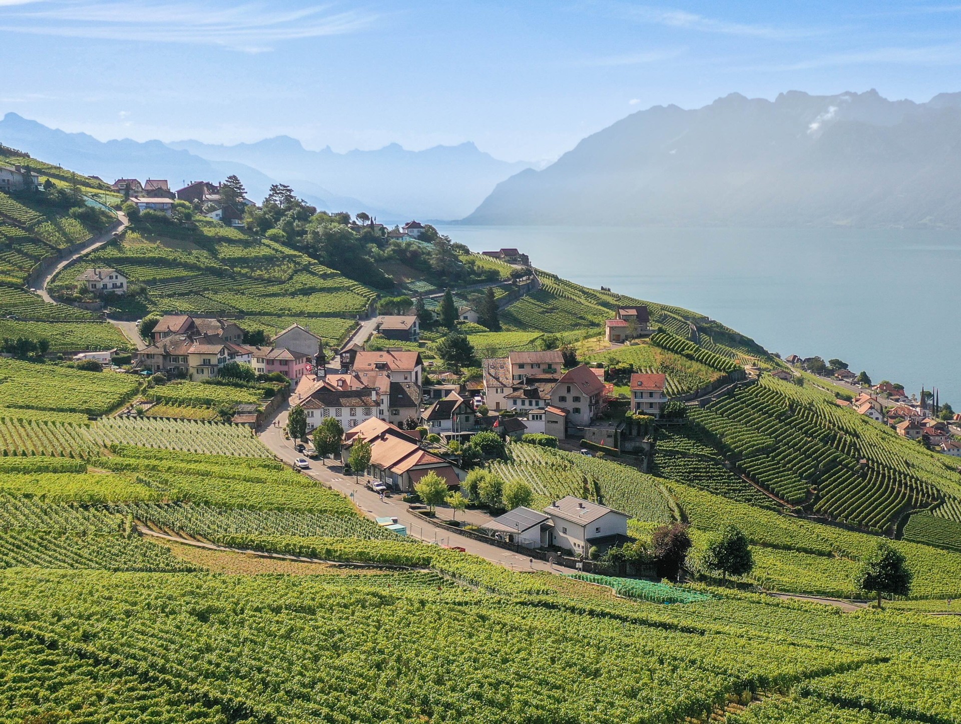 px bourg vigneron cvincent bailly lpm 1