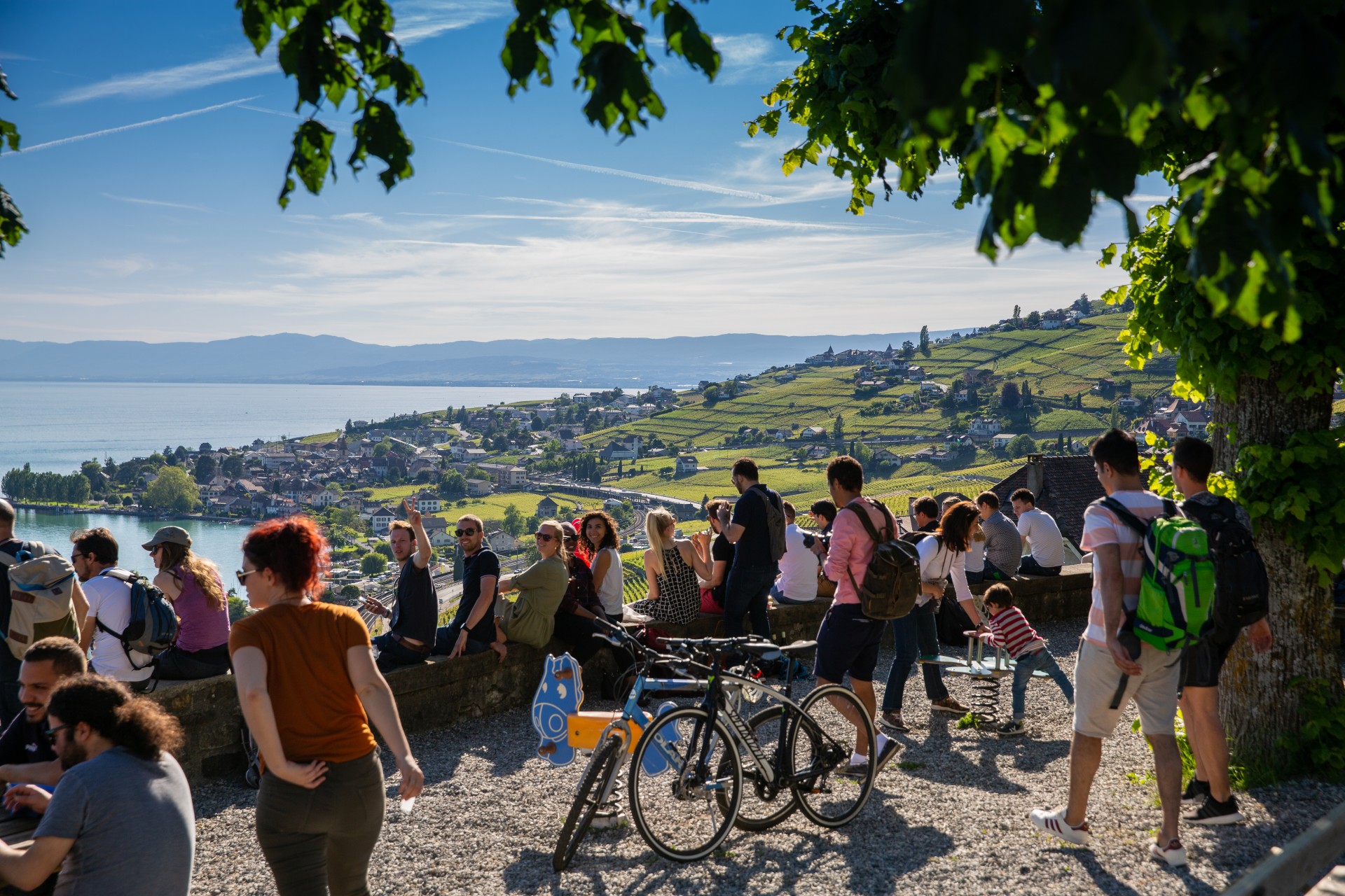  cov2019 lavaux 30 cvincent bailly